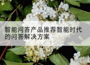 智能问答产品推荐智能时代的问答解决方案