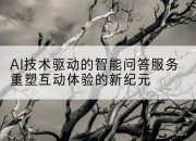 AI技术驱动的智能问答服务重塑互动体验的新纪元