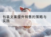 包装文案提升销售的策略与实践