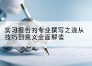 实习报告的专业撰写之道从技巧到意义全面解读