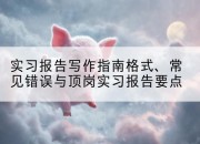 实习报告写作指南格式、常见错误与顶岗实习报告要点