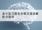 会计实习报告中常见错误解析与指导