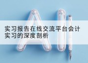 实习报告在线交流平台会计实习的深度剖析