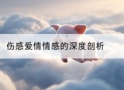 伤感爱情情感的深度剖析