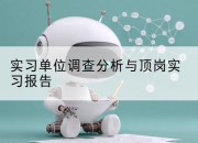 实习单位调查分析与顶岗实习报告