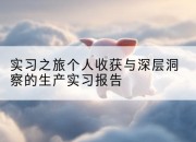 实习之旅个人收获与深层洞察的生产实习报告