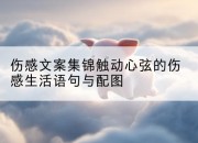 伤感文案集锦触动心弦的伤感生活语句与配图