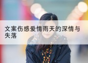 文案伤感爱情雨天的深情与失落