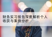 财务实习报告深度解析个人收获与案例分析
