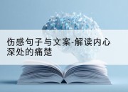 伤感句子与文案-解读内心深处的痛楚