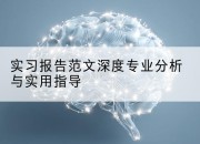 实习报告范文深度专业分析与实用指导