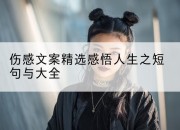 伤感文案精选感悟人生之短句与大全