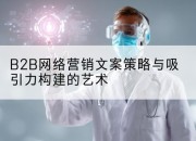 B2B网络营销文案策略与吸引力构建的艺术