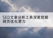 SEO文章分析工具深度挖掘网页优化潜力