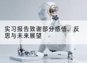 实习报告致谢部分感悟、反思与未来展望