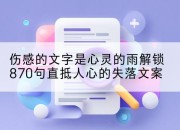 伤感的文字是心灵的雨解锁870句直抵人心的失落文案