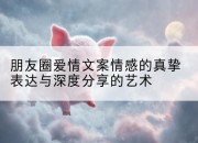 朋友圈爱情文案情感的真挚表达与深度分享的艺术
