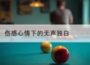 伤感心情下的无声独白