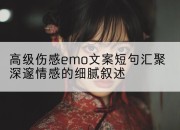 高级伤感emo文案短句汇聚深邃情感的细腻叙述