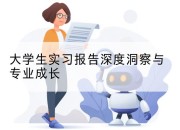 大学生实习报告深度洞察与专业成长