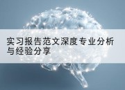 实习报告范文深度专业分析与经验分享