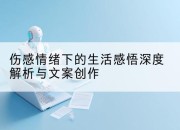伤感情绪下的生活感悟深度解析与文案创作