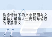 伤感情绪下的文字配图与文案魅力解读人生离别与哲思的深层意义