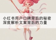 小红书用户口碑背后的秘密深度解析文案背后的力量