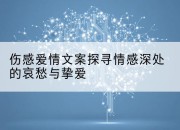 伤感爱情文案探寻情感深处的哀愁与挚爱
