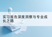 实习报告深度洞察与专业成长之路