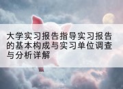 大学实习报告指导实习报告的基本构成与实习单位调查与分析详解