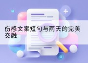 伤感文案短句与雨天的完美交融