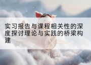 实习报告与课程相关性的深度探讨理论与实践的桥梁构建