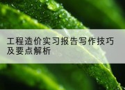 工程造价实习报告写作技巧及要点解析