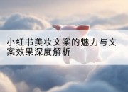 小红书美妆文案的魅力与文案效果深度解析