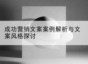 成功营销文案案例解析与文案风格探讨