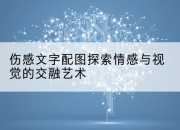 伤感文字配图探索情感与视觉的交融艺术