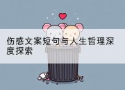 伤感文案短句与人生哲理深度探索
