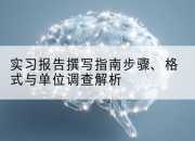 实习报告撰写指南步骤、格式与单位调查解析
