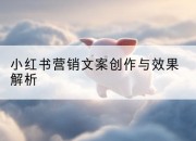 小红书营销文案创作与效果解析