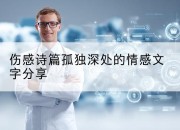 伤感诗篇孤独深处的情感文字分享