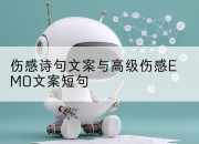 伤感诗句文案与高级伤感EMO文案短句