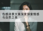 伤感诗景文案深度探索情感与自然之美