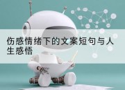 伤感情绪下的文案短句与人生感悟