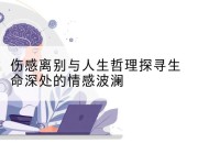 伤感离别与人生哲理探寻生命深处的情感波澜