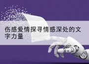 伤感爱情探寻情感深处的文字力量