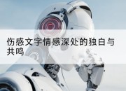 伤感文字情感深处的独白与共鸣