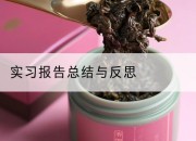 实习报告总结与反思