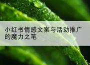 小红书情感文案与活动推广的魔力之笔