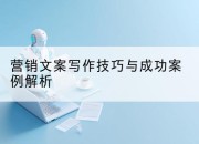 营销文案写作技巧与成功案例解析